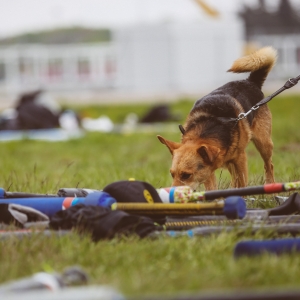 Berliner_Jugger_Pokal_2017-149