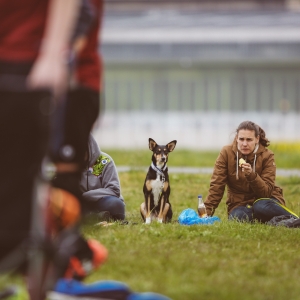 Berliner_Jugger_Pokal_2017-197